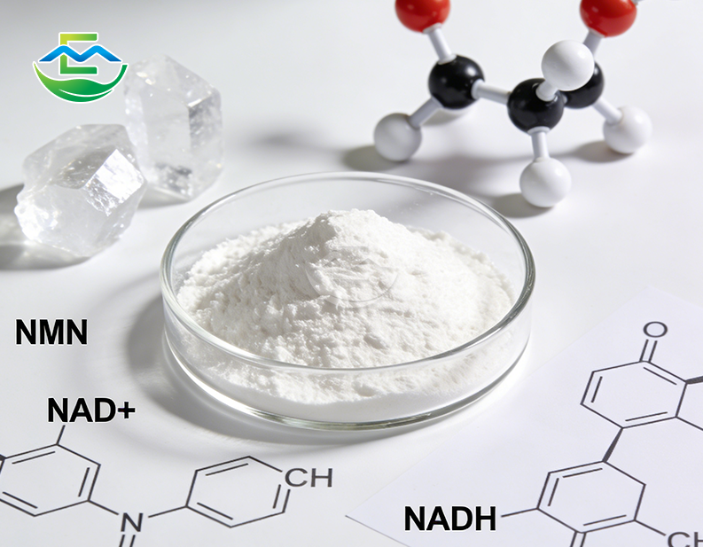 Bulk NADH Powder Manufacturer